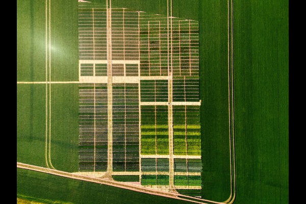 Crop Diversity
