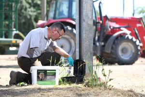 BASF monitoring rural rodent behaviour