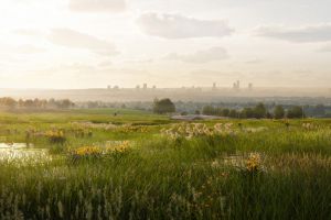 Environment Bank Horwich Habitat Bank