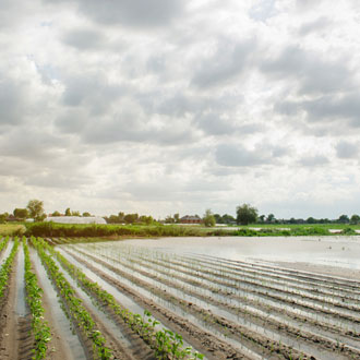 flood-affected farmland