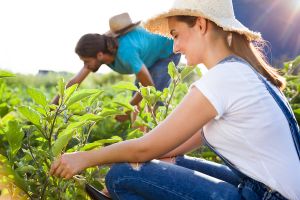 funding for farmers health to include benefits for farming communities