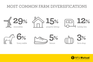 Diversification Infographic