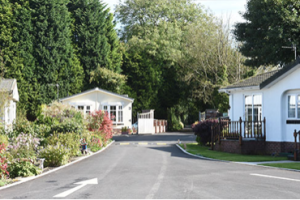 Horses in a field - diversification can turn rural land into houses 