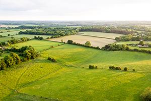 farmland in England